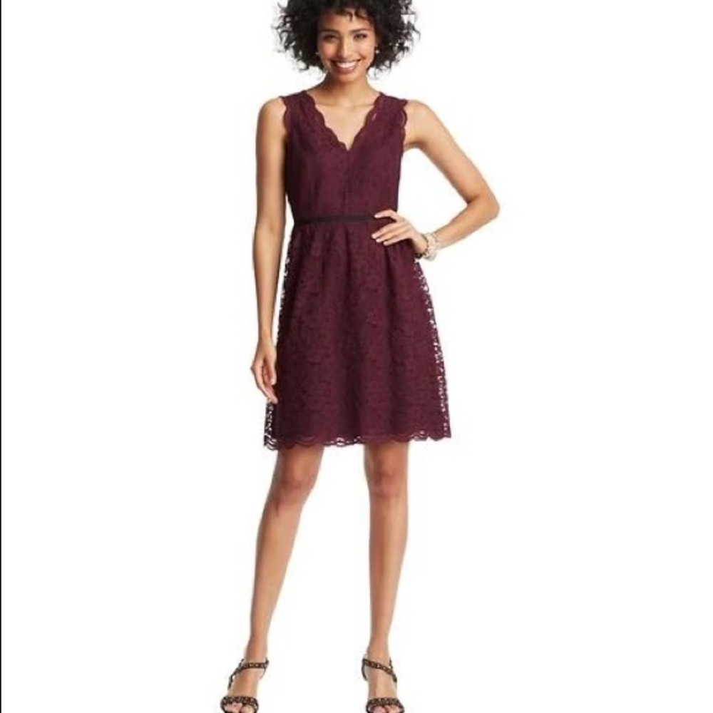 Ann Taylor Loft Burgundy Scallop Lace Sleeveless Dress Sz 6